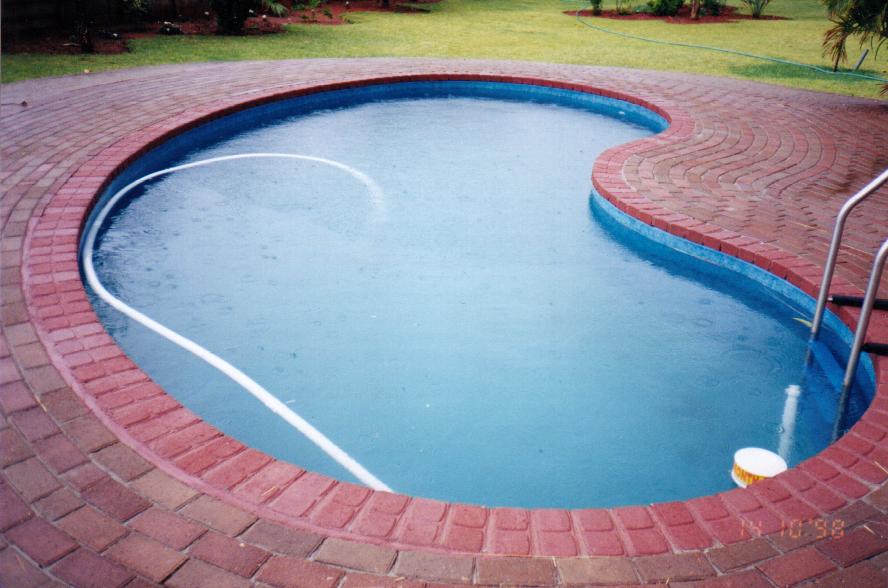 Kidney pool